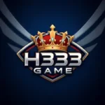 H333 Game