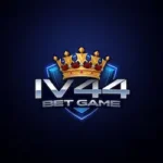 V44 Bet Game
