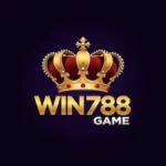 Win 788 Game